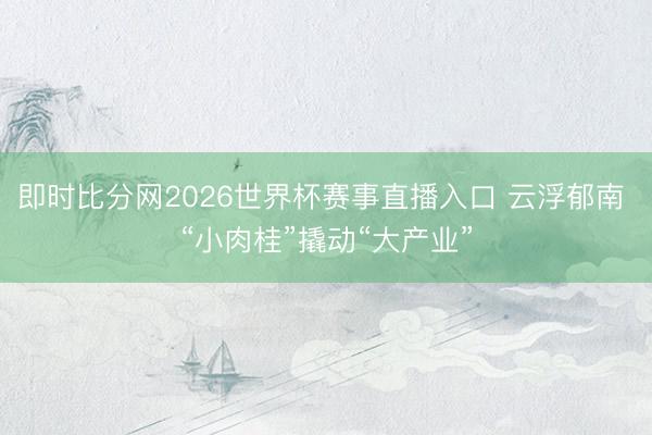 即时比分网2026世界杯赛事直播入口 云浮郁南 “小肉桂”撬动“大产业”